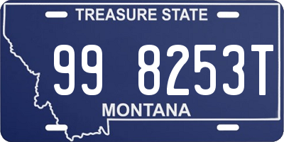 MT license plate 998253T