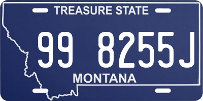 MT license plate 998255J