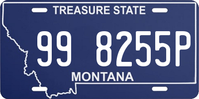 MT license plate 998255P