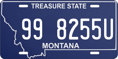 MT license plate 998255U