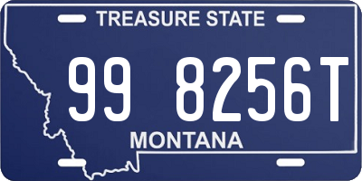 MT license plate 998256T