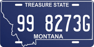 MT license plate 998273G