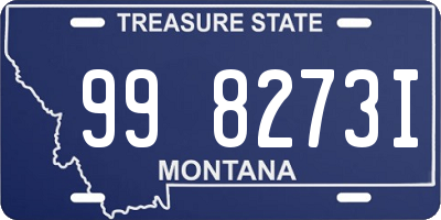 MT license plate 998273I