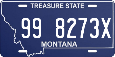 MT license plate 998273X