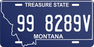 MT license plate 998289V