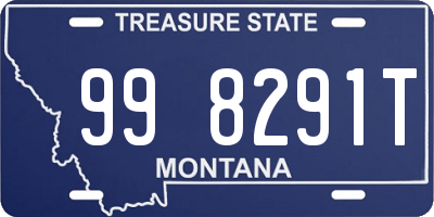 MT license plate 998291T