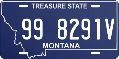 MT license plate 998291V