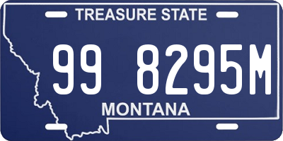 MT license plate 998295M