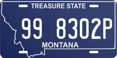 MT license plate 998302P