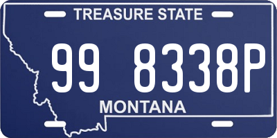 MT license plate 998338P