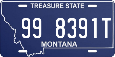 MT license plate 998391T