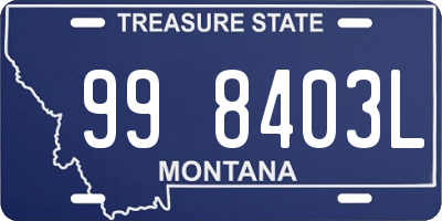 MT license plate 998403L