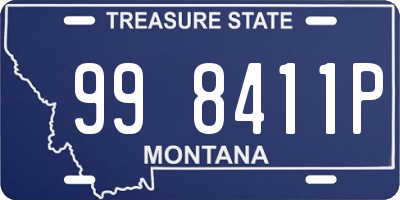 MT license plate 998411P