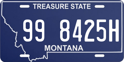 MT license plate 998425H