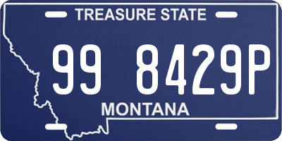 MT license plate 998429P