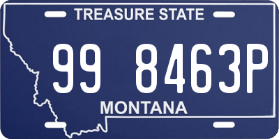 MT license plate 998463P