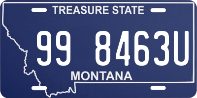 MT license plate 998463U