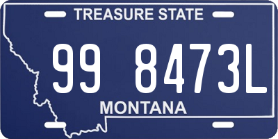 MT license plate 998473L