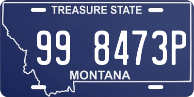 MT license plate 998473P