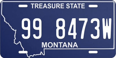 MT license plate 998473W