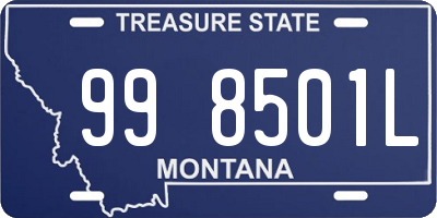 MT license plate 998501L