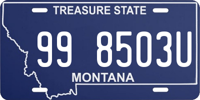 MT license plate 998503U