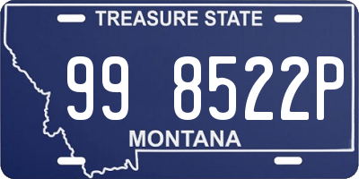 MT license plate 998522P