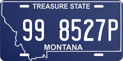 MT license plate 998527P