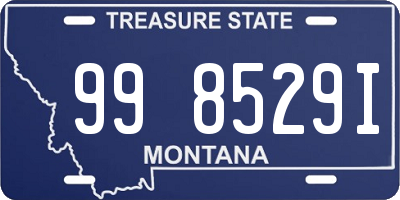 MT license plate 998529I