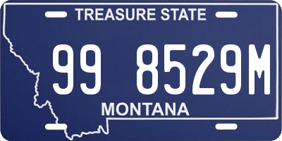 MT license plate 998529M