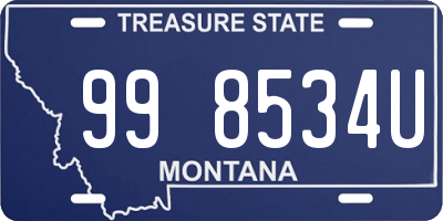 MT license plate 998534U