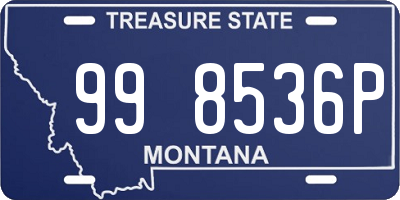 MT license plate 998536P