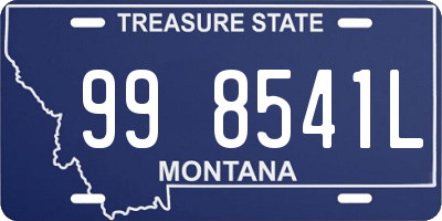 MT license plate 998541L