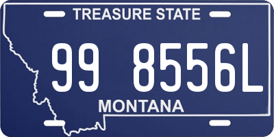 MT license plate 998556L