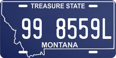 MT license plate 998559L