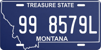 MT license plate 998579L