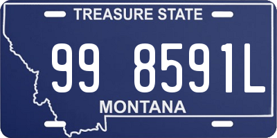 MT license plate 998591L