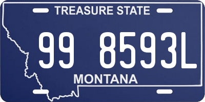 MT license plate 998593L