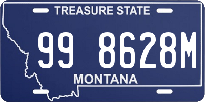 MT license plate 998628M