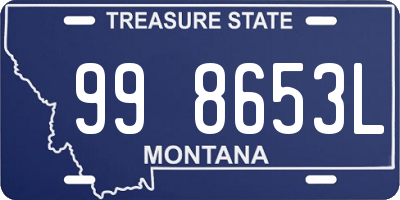 MT license plate 998653L