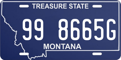 MT license plate 998665G