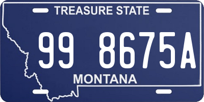 MT license plate 998675A