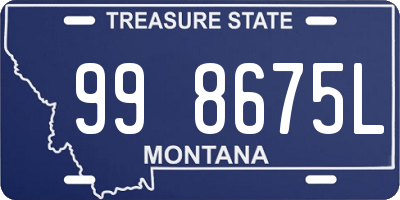 MT license plate 998675L