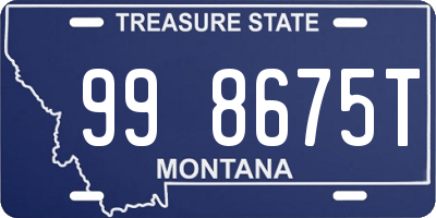 MT license plate 998675T