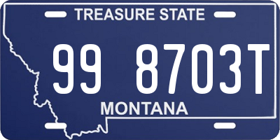 MT license plate 998703T