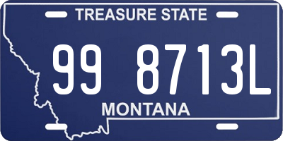 MT license plate 998713L