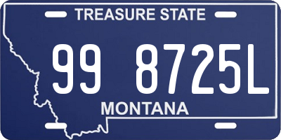 MT license plate 998725L