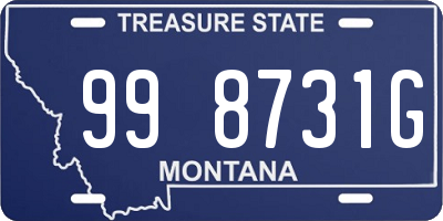 MT license plate 998731G