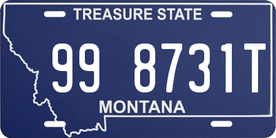 MT license plate 998731T