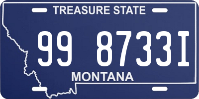 MT license plate 998733I